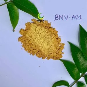 Bột nhũ vàng 24K A01