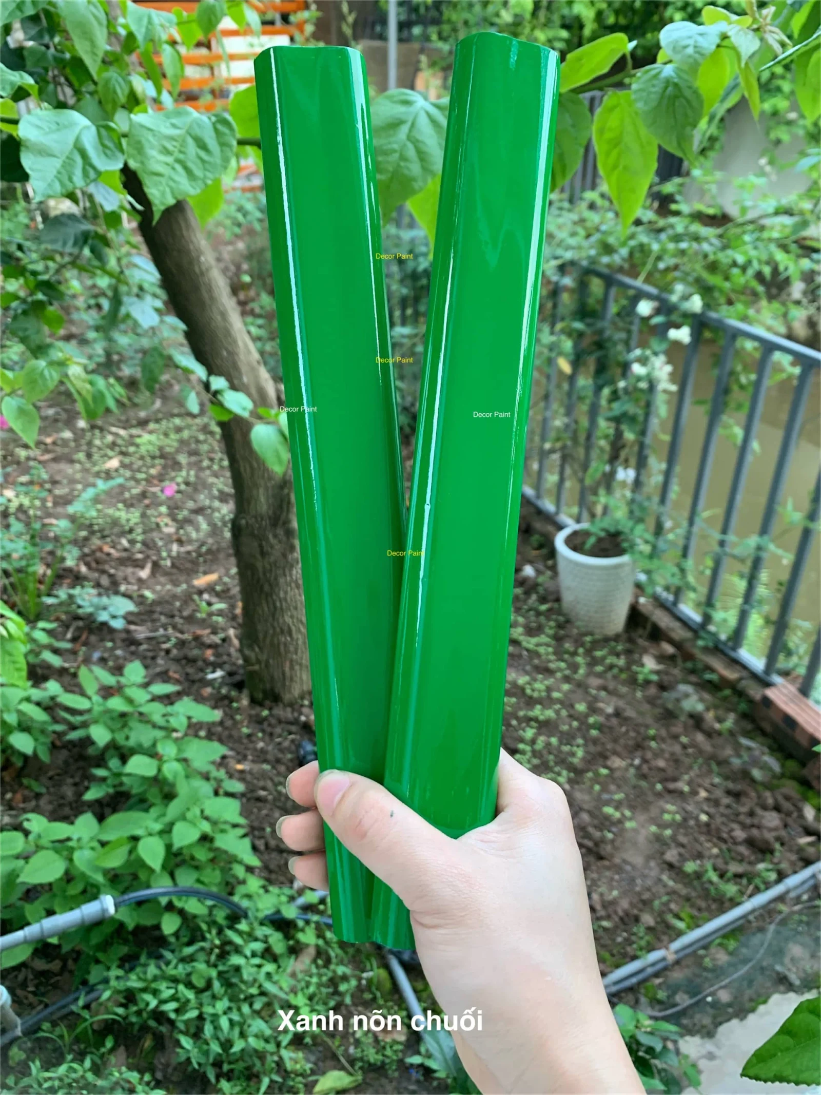 1.0 Kg - Sơn kính xanh lá non