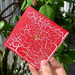 Sơn nứt màu đỏ 1 thành phần trên mọi chất liệu lon 1.0 kg