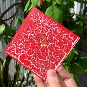 Sơn nứt màu đỏ 1 thành phần trên mọi chất liệu lon 1.0 kg